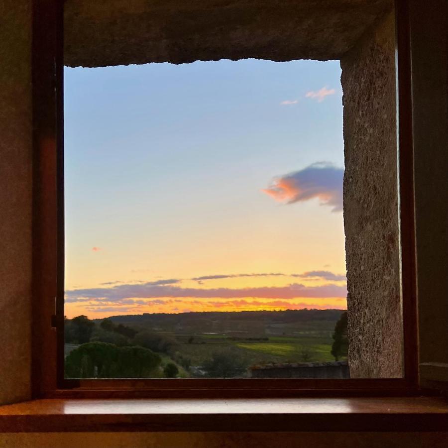 Proche Uzes Le Cocon Du Peintre Anglais Sagriès Exterior foto